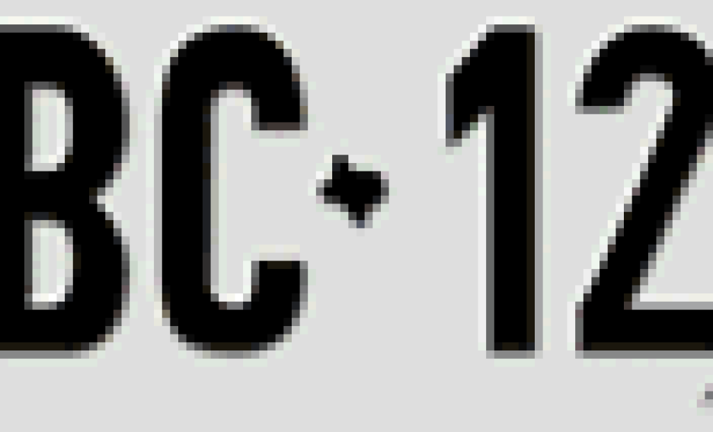 Registreringsskyltar-och-nummerplatar-stjals